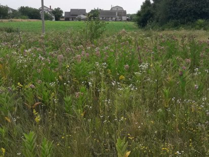 Продаж земельної ділянки в  с. Мошни, вулиця Горіхова