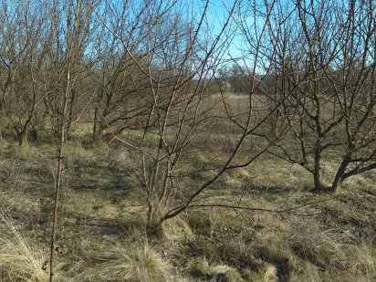 Участок под застройку Мошны