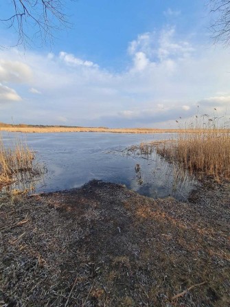 Продаж оренди земельної ділянки на Дніпрі с. Коробівка - фото 1