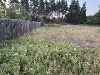 Земельна  ділянка в лісі ділянка участок ліс крута пропозиція Дубіївка