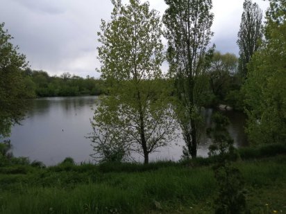 Земельна ділянка з времянкою Лысянка