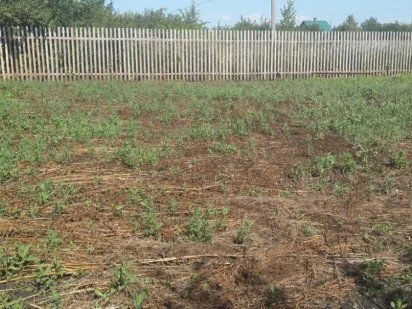 Земля під забудову Монастирище