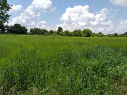 земельна ділянка