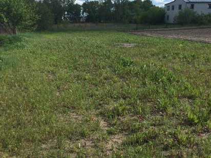 Земельна ділянка в с.Кедина Гора Кедина Гора