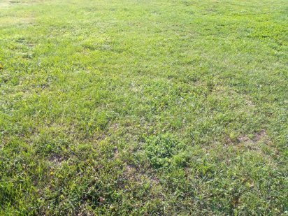 Продам  земельну ділянку. с.Яснозіря Яснозір'я