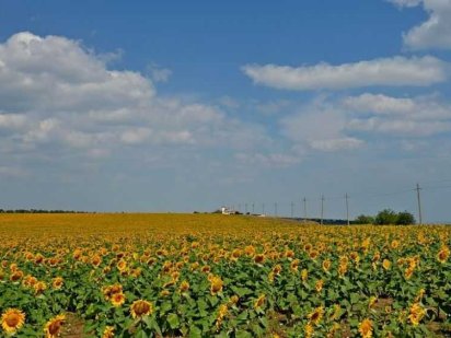 Обмен земельного участка (пай). Яснозір'я