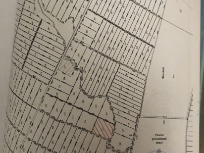 Сдам в оренду Земля пай 5.6га Бахмач