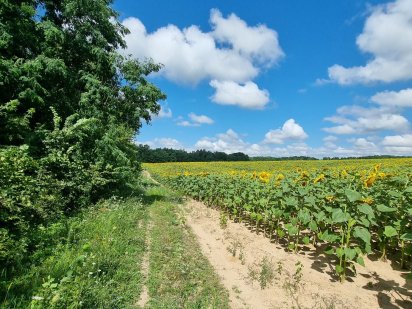 Киiнка---пай  3,5га. Киенка