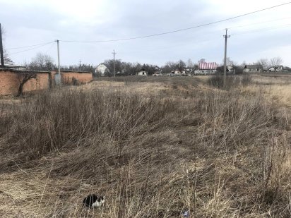 Продаж ділянки в с Киїнка 4 сотки. біля центральної дороги Киенка