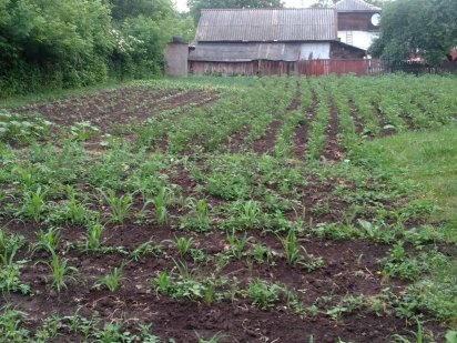 Продам земельну ділянку Мена