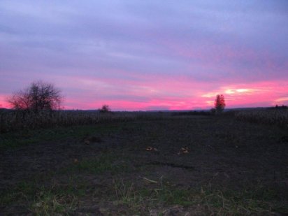 Продам четыре земельных пая. Ичня