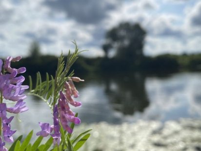 Продам  земельну ділянку в м.Остер Остер