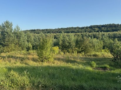 Продам ділянку 10 сот Козелець Козелец