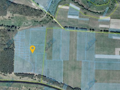 земельна ділянка ОСГ. Козелец Козелец