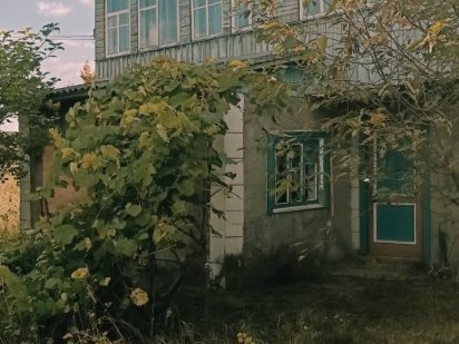 Земельна ділянка з будівлею Городня