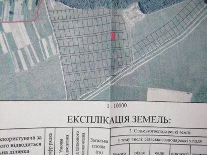 Продам земельный участок в с. Анисов, рядом лес, речка Десна Анисів