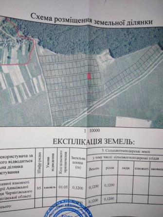 Продам земельный участок в с. Анисов, рядом лес, речка Десна - фото 1