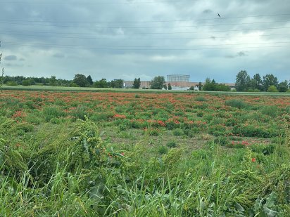 Земельна ділянка Годилів