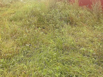 Земельна ділянка на Цецено Годилів