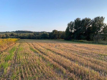 Земельна ділянка Годилів