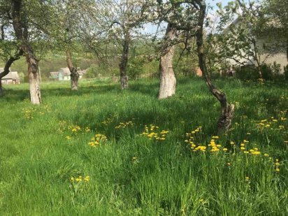 Земельна ділянка Сторожинец