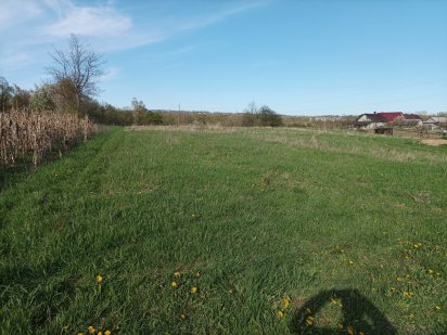 Земельна ділянка приватизована Сторожинец
