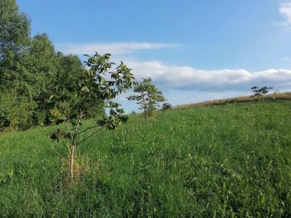 Продається земельна ділянка у Карпатах Мигово