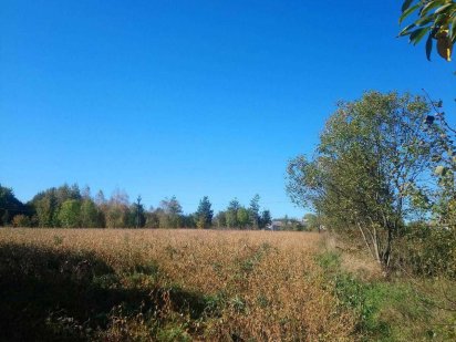 Земельна ділянка в с. Мигово Мигово