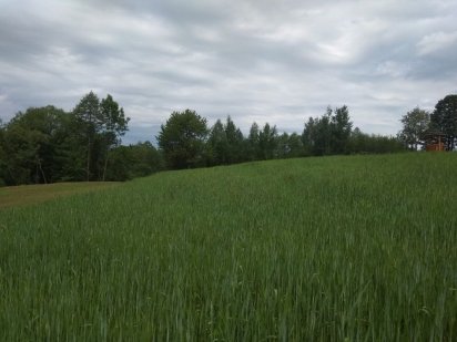 Для будівництва будівель і споруд(присадибна ділянка) Мигово