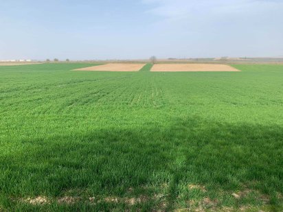 Продається земельна ділянка 58 соток в с. Чагор (об'їзна) Чагор