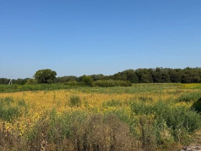 Продаж земельної ділянки в передмісті 8 сотих Великий Кучурів