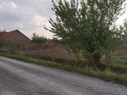 Земельна ділянка Новоселица