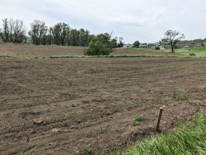 Земельна ділянка Годилів, Чернівці Коровія