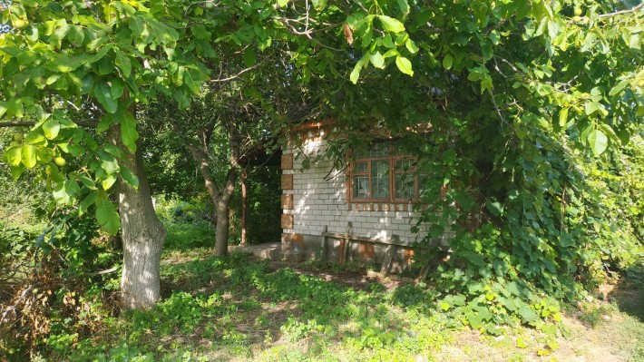 Власовка. Продам дачу в обществе "Строитель". - фото 1