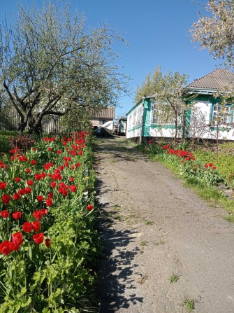 Продам будинок в селі - фото 1