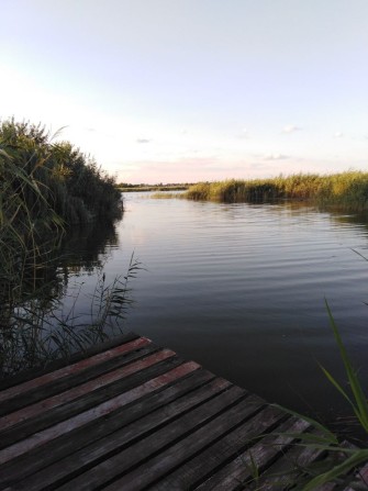 Дом. Самаровка. Остров. - фото 1