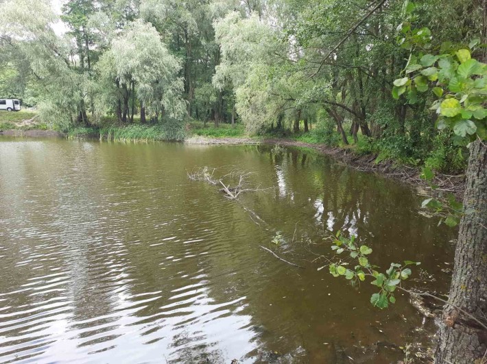 Продам дачу в с/т Лісова поляна - фото 1