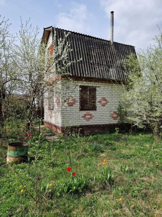 дача з будинком в районі с.Півці СТ Зарічне ( дача в Певцах Чернигов) - фото 1