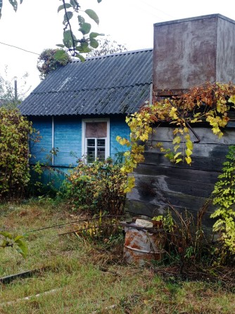 Дача на Ст. Подусовці під лісом. Ідеально для будівництва. - фото 1