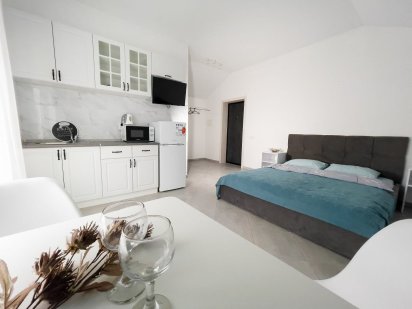 Сдаю квартиру 1к. - лофт-студію на метро Осокорки почасово, подобово Киев