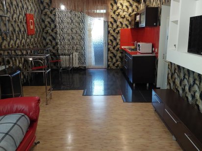 Почасово квартира -студия на Правде(район ТЦ Мельница). Днепр