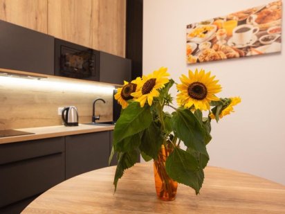 Апартаменти центр площа Ринок, Стрийський парк, Пекарська, Франка Львів