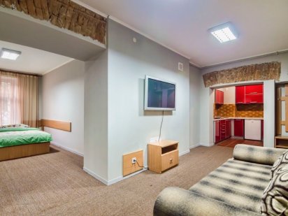 1-кім. квартира в центрі Львова Львів