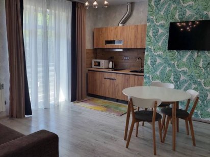 Сонячне Закарпаття Поляна  Апартаменти Arena Village Русская Поляна