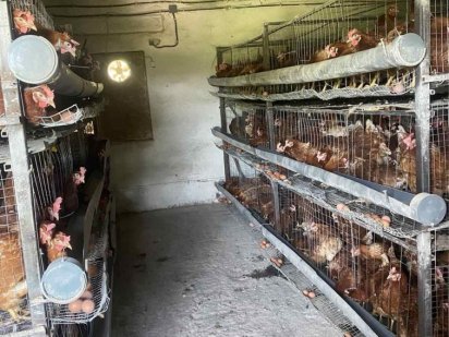 Терміново! Продам бізнес ! Власник Рівне