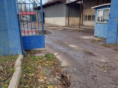 Продам промышленную базу на Балашовке за МРЭО Кропивницький