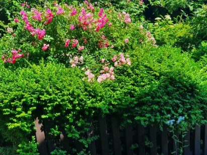 Золотой берег Коммерческое предложение под отель, медцентр Одесса