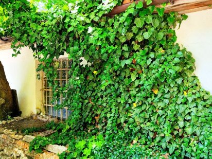 Помещение салон красоты 91м² 