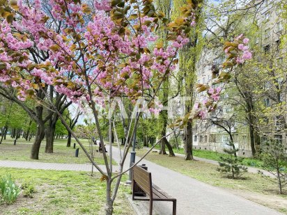 Коммерческое помещение на Крымском бульваре под любой вид деятельности Одеса