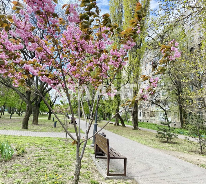 Коммерческое помещение на Крымском бульваре под любой вид деятельности - фото 1